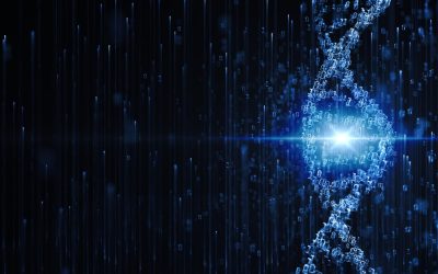 Les Émojis dominent-ils notre langage? Quand l&rsquo;évolution du message passe par un simple symbole