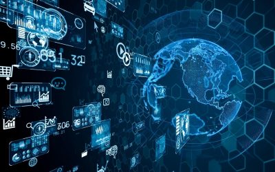 Votre chat comprend-il mieux vos messages que votre collègue? Les secrets de la communication non-verbale