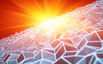 Et si les animaux parlaient mieux que nous ? Leçons de communication animale à appliquer chez les humains